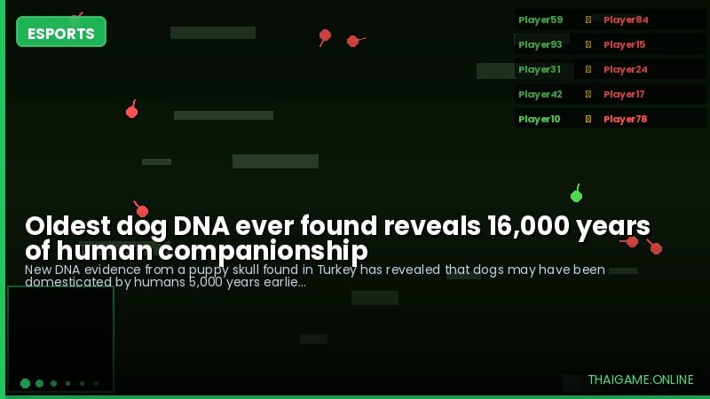 Oldest dog DNA ever found reveals 16,000 years of human companionship