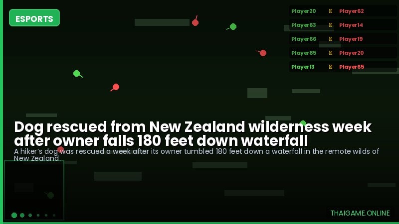 Dog rescued from New Zealand wilderness week after owner falls 180 feet down waterfall