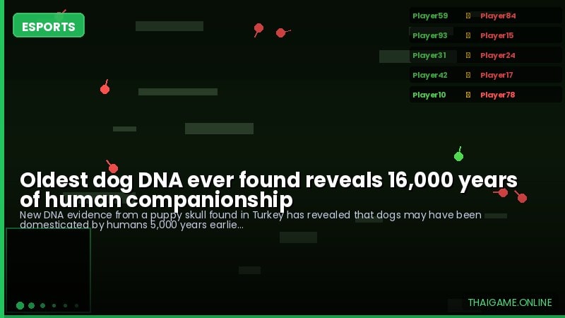 Oldest dog DNA ever found reveals 16,000 years of human companionship