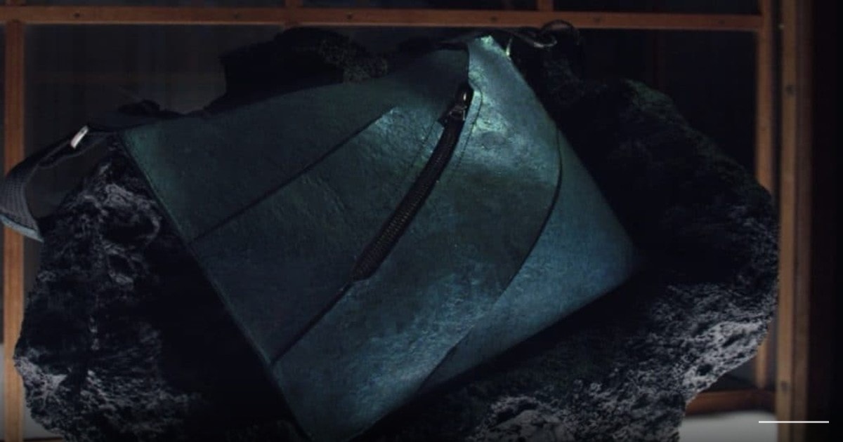 Scientists create world’s first ‘T-Rex leather’ handbag with $600k starting price