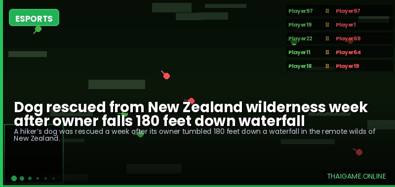 Dog rescued from New Zealand wilderness week after owner falls 180 feet down waterfall
