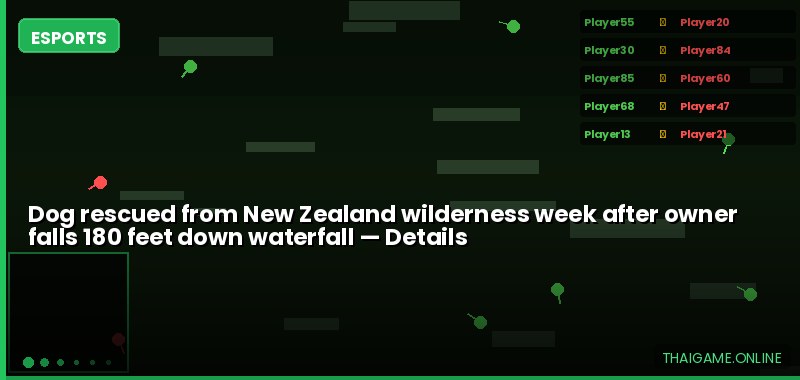 Dog rescued from New Zealand wilderness week after owner falls 180 feet down waterfall — details