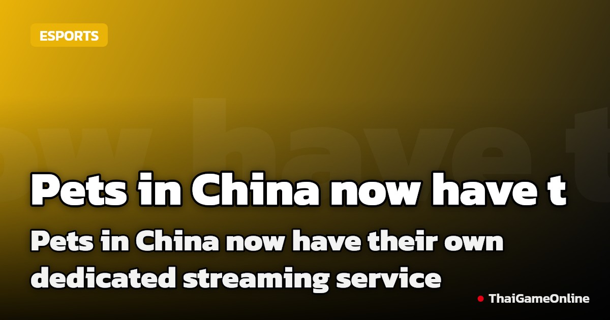 Pets in China now have their own dedicated streaming service