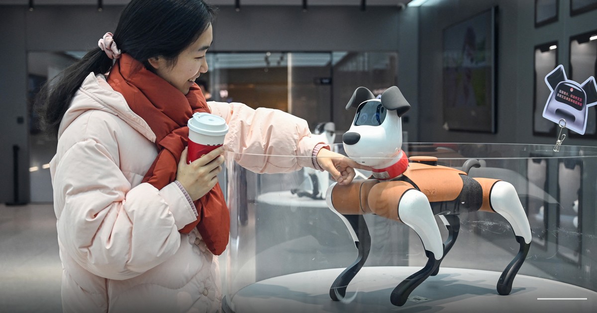 Pets in China now have their own dedicated streaming service