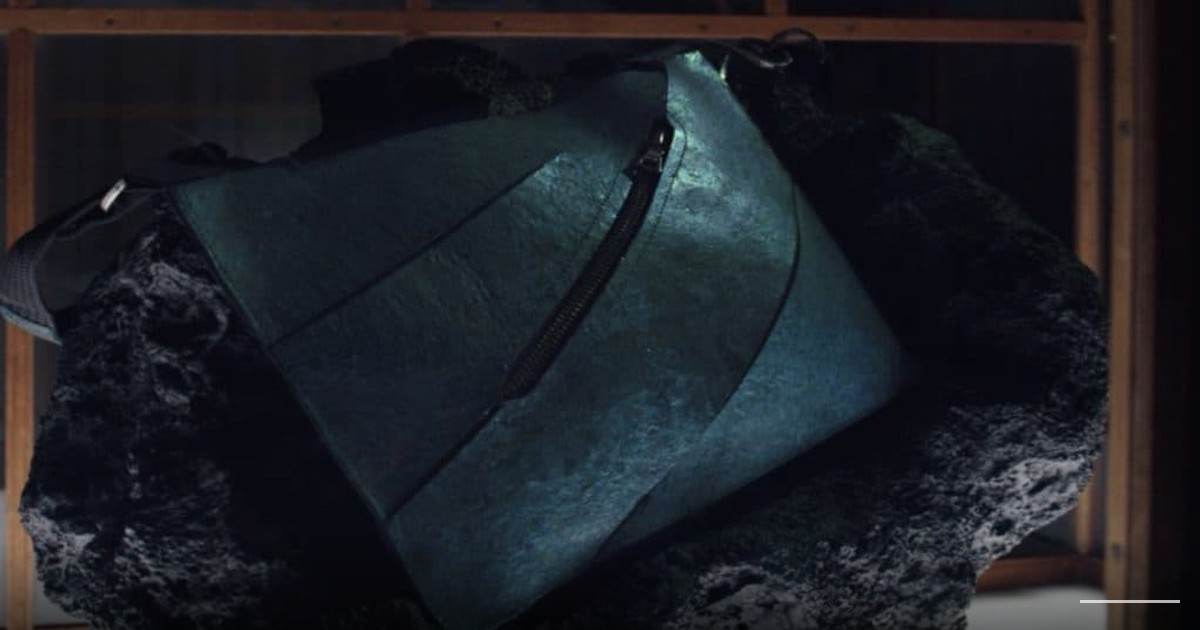 Scientists create world’s first ‘T-Rex leather’ handbag with $600k starting price