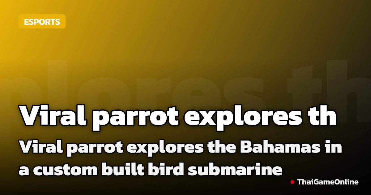 Viral parrot explores the Bahamas in a custom built bird submarine